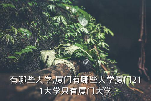 廈門有哪些大學,廈門有哪些大學?廈門211大學只有廈門大學
