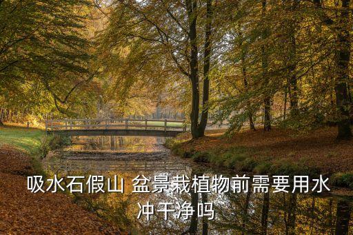  吸水石假山 盆景栽植物前需要用水沖干凈嗎