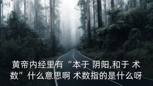陰陽術數(shù)