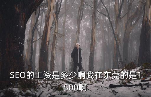 東莞縫紉工培訓班，蘇州諾基亞招聘暑期工消息可靠嗎