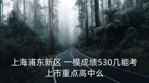 上海浦東新區(qū) 一模成績(jī)530幾能考上市重點(diǎn)高中么