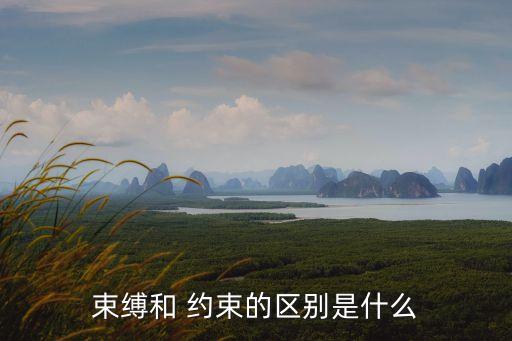 約束,束縛和約束的區(qū)別在于什么?