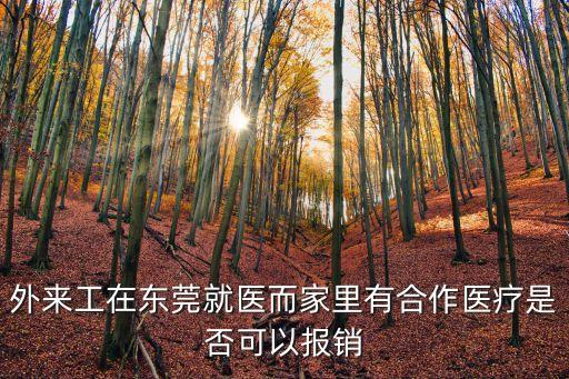 東莞康華醫院農村醫保可以報銷嗎，能否報銷農村醫保