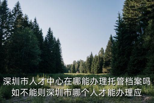 深圳市人才中心在哪能辦理托管檔案嗎如不能則深圳市哪個人才能辦理應