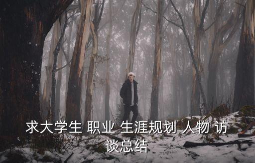 求大學(xué)生 職業(yè) 生涯規(guī)劃 人物 訪談總結(jié)