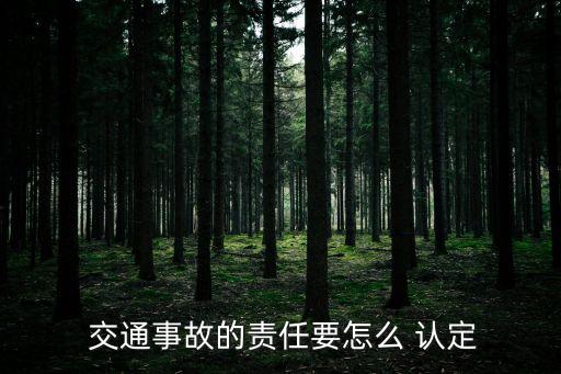 交通事故認定