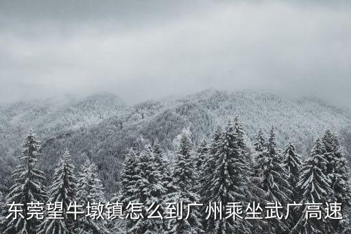 東莞望牛墩鎮(zhèn)怎么到廣州乘坐武廣高速