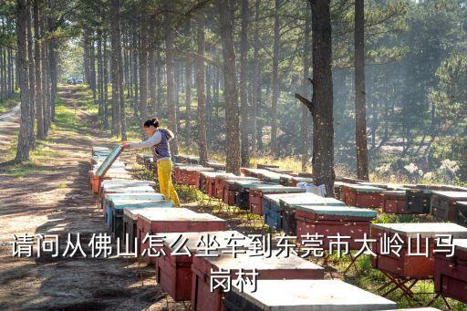 請(qǐng)問從佛山怎么坐車到東莞市大嶺山馬崗村