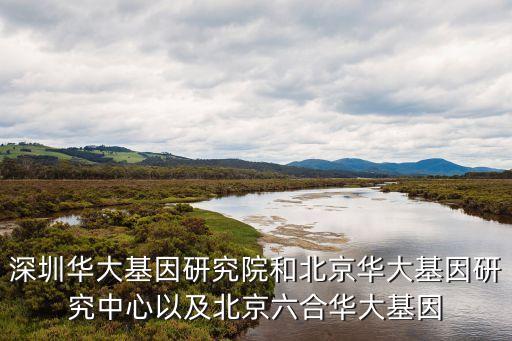 深圳華大基因研究院和北京華大基因研究中心以及北京六合華大基因