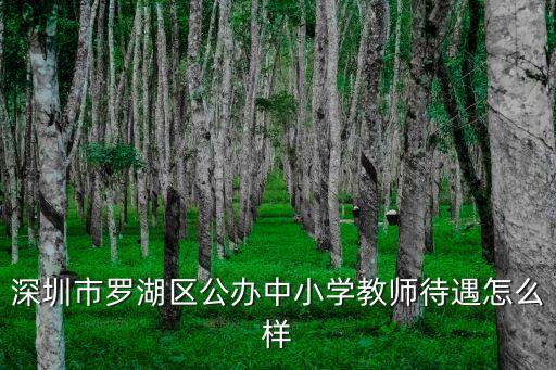 深圳市羅湖區公辦中小學教師待遇怎么樣