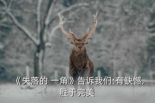 缺失的一角,失落的一角》告訴我們:有缺憾,喜歡這本書