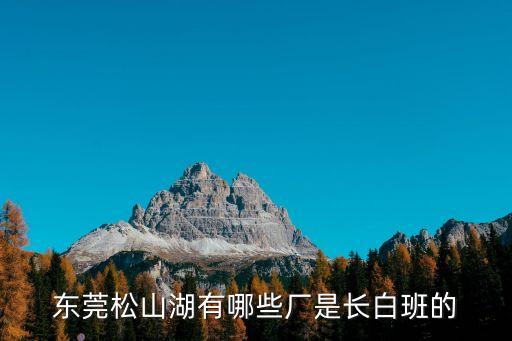 東莞長白班計件廠有哪些，東莞只上白班的電子廠有哪些