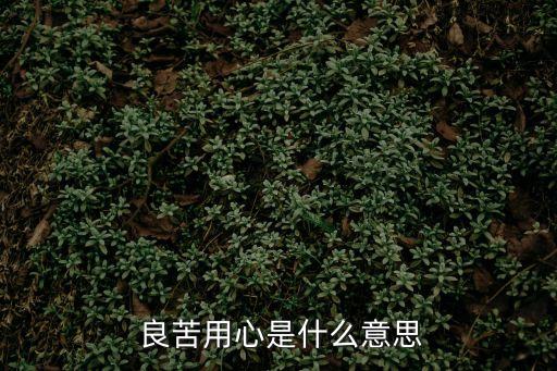 良苦用心和用心良苦有什么區別,第二集:選民投票日的評論