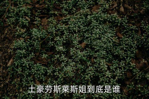 土豪勞斯萊斯姐到底是誰