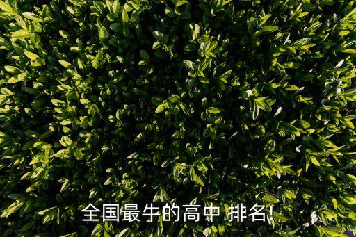 中國中學排名,全國重點中學排名出爐南大附屬中學蟬聯榜首