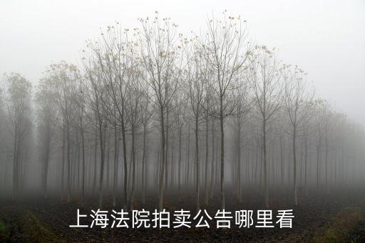 上海法院拍賣公告哪里看