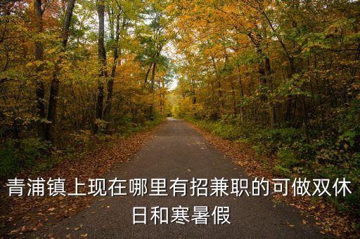 青浦鎮上現在哪里有招兼職的可做雙休日和寒暑假