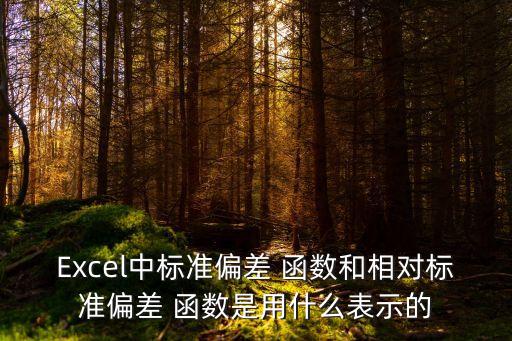 Excel中標準偏差 函數和相對標準偏差 函數是用什么表示的