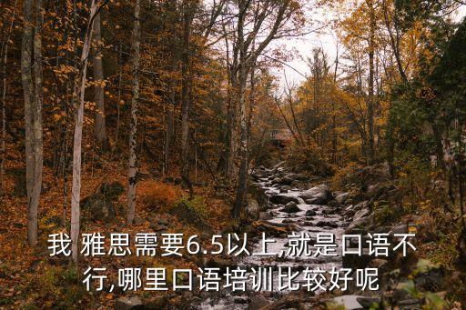 我 雅思需要6.5以上,就是口語不行,哪里口語培訓比較好呢