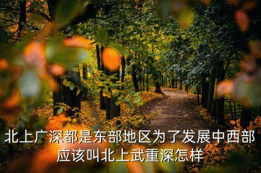 北上廣深都是東部地區(qū)為了發(fā)展中西部應(yīng)該叫北上武重深怎樣