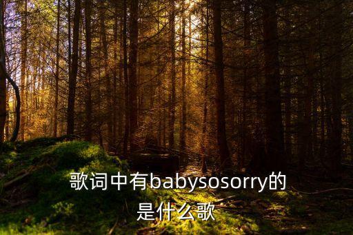 原諒我一次歌詞,歡子原諒我一次歌詞