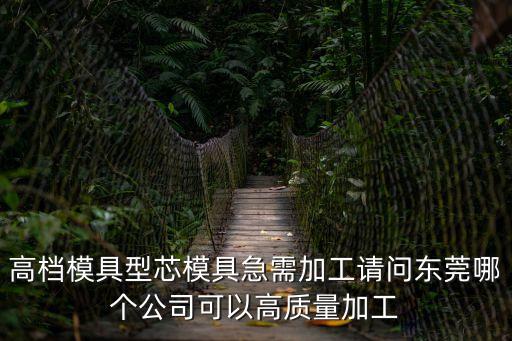 高檔模具型芯模具急需加工請問東莞哪個公司可以高質量加工
