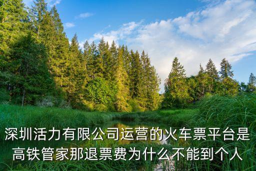 深圳活力有限公司運營的火車票平臺是高鐵管家那退票費為什么不能到個人