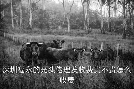 深圳福永的光頭佬理發收費貴不貴怎么收費