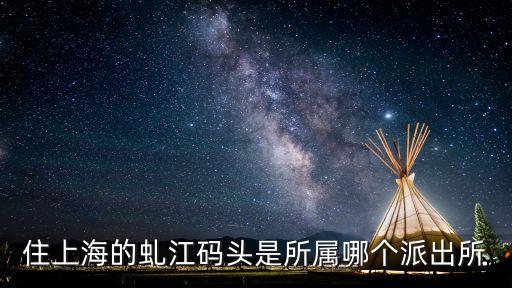 上海市虬江碼頭路1號是什么單位，上海英業達集團地址
