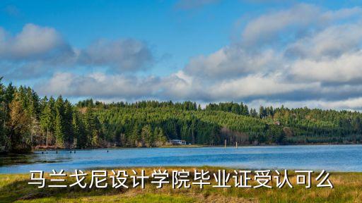 馬蘭戈尼設計學院畢業證受認可么