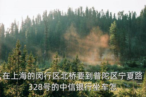中信銀行上海市普陀支行，在上海的閔行區北橋要到普陀區寧夏路328號的中信銀行坐車怎