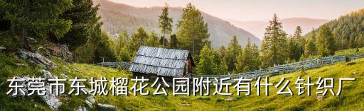 東莞市東城榴花公園附近有什么針織廠