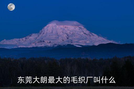 東莞大朗最大制衣廠，東莞大朗最大的毛織廠在哪里大概有多少人