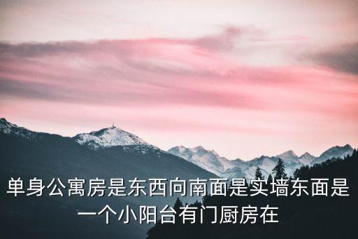 單身公寓房是東西向南面是實墻東面是一個小陽臺有門廚房在