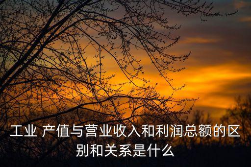 工業 產值與營業收入和利潤總額的區別和關系是什么
