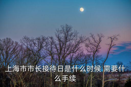 上海市市長接待日是什么時候 需要什么手續