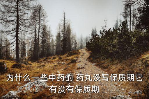 中藥丸
