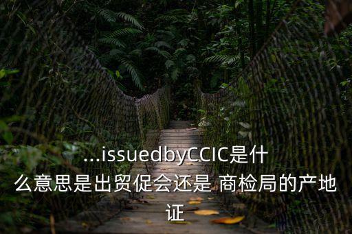 商檢英文,商品檢測(cè)報(bào)告英文在國(guó)內(nèi)通用嗎?不通用?