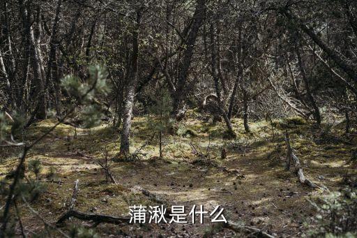 蒲湫是什么