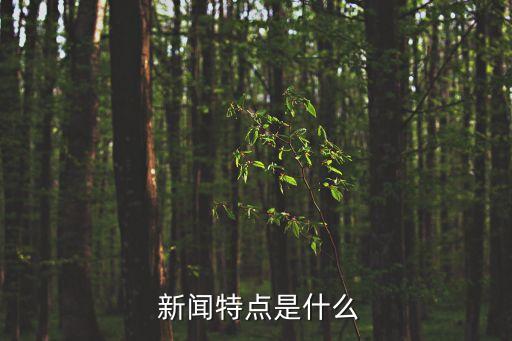 新聞的特點,網易新聞的特點