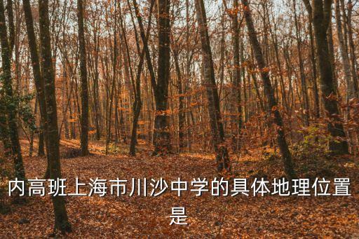 內高班上海市川沙中學的具體地理位置是