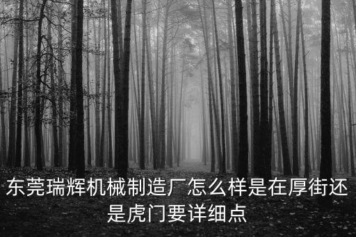 東莞瑞輝機械制造廠怎么樣是在厚街還是虎門要詳細點