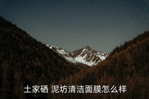  土家硒 泥坊清潔面膜怎么樣
