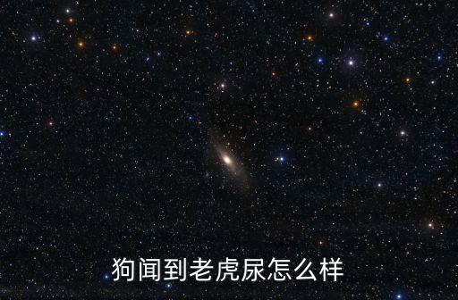 虎尿,隨風喝老虎尿有害健康與疾病無關
