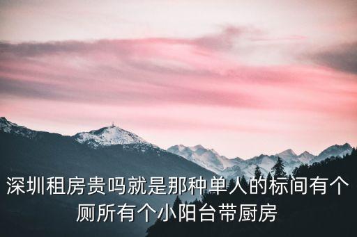 深圳租房貴嗎就是那種單人的標(biāo)間有個(gè)廁所有個(gè)小陽(yáng)臺(tái)帶廚房