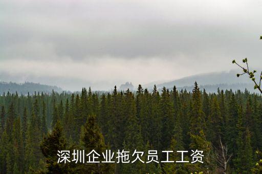 深圳企業(yè)拖欠員工工資