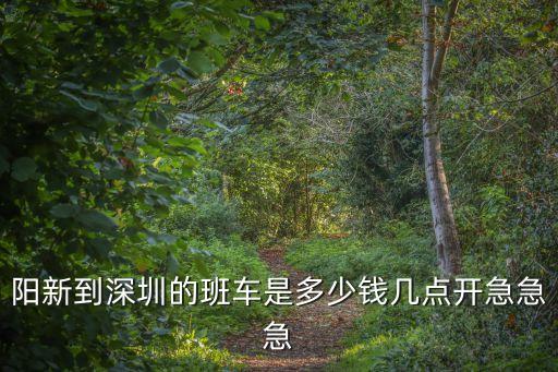 陽新到深圳的班車是多少錢幾點開急急急