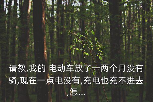 請教,我的 電動車放了一兩個月沒有騎,現(xiàn)在一點電沒有,充電也充不進去,怎...