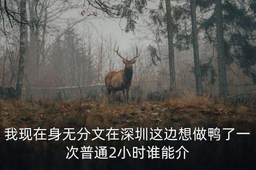 我現在身無分文在深圳這邊想做鴨了一次普通2小時誰能介