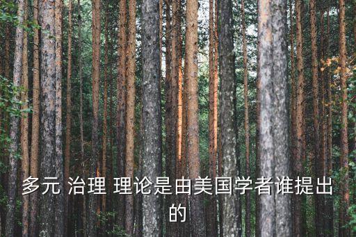 多元 治理 理論是由美國學者誰提出的